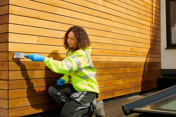Best Steel Siding Installation  in Independence, WI
