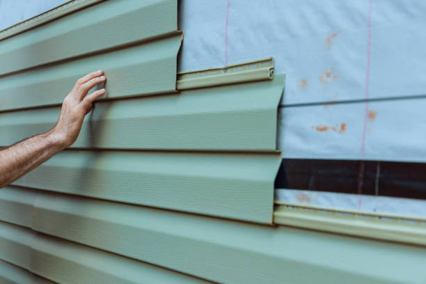 Best Vinyl Siding Installation  in Independence, WI